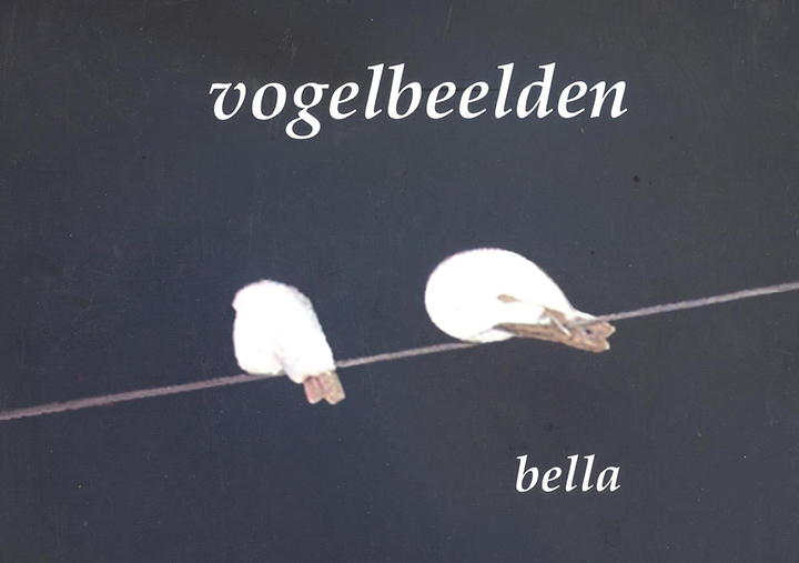 Vogelbeelden