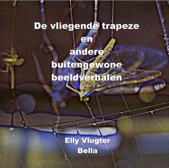 De vliegende trapeze